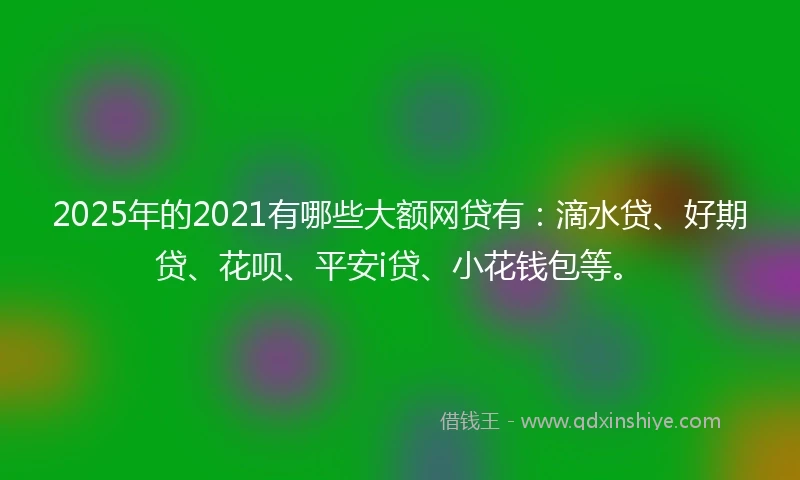 2025年的2021有哪些大额网贷有：滴水贷、好期贷、花呗、平安i贷、小花钱包等。