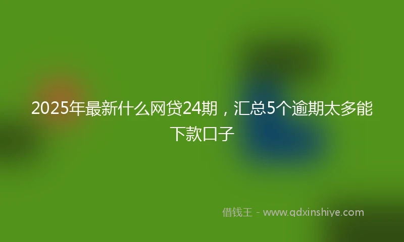 2025年最新什么网贷24期，汇总5个逾期太多能下款口子