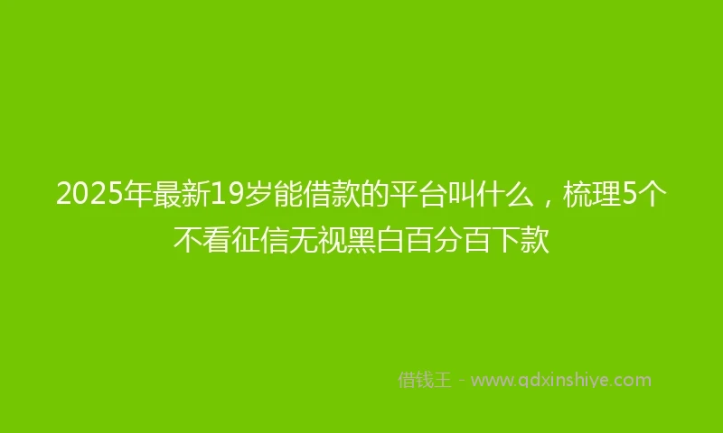 2025年最新19岁能借款的平台叫什么，梳理5个不看征信无视黑白百分百下款