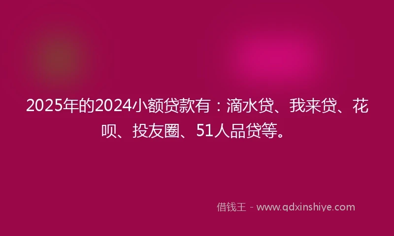 2025年的2024小额贷款有：滴水贷、我来贷、花呗、投友圈、51人品贷等。