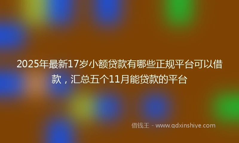 2025年最新17岁小额贷款有哪些正规平台可以借款，汇总五个11月能贷款的平台