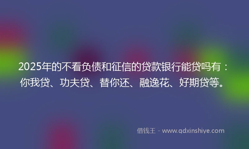 2025年的不看负债和征信的贷款银行能贷吗有：你我贷、功夫贷、替你还、融逸花、好期贷等。