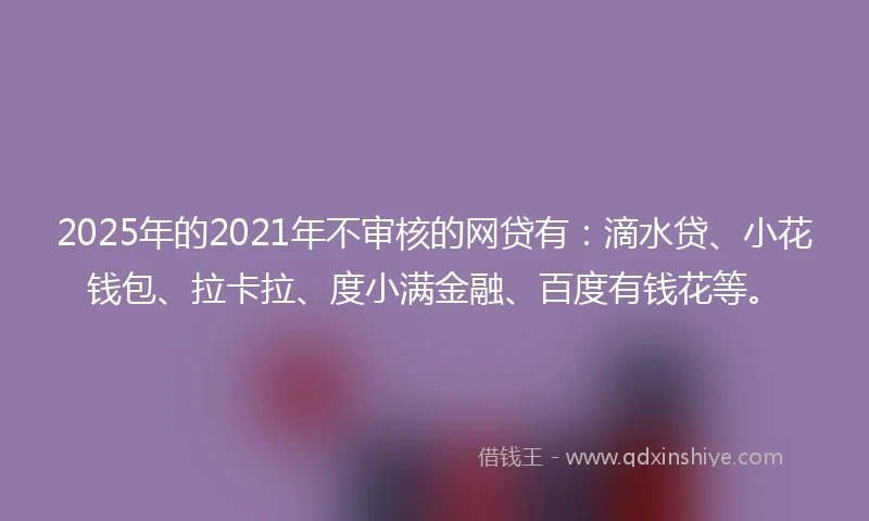 2025年的2021年不审核的网贷有：滴水贷、小花钱包、拉卡拉、度小满金融、百度有钱花等。