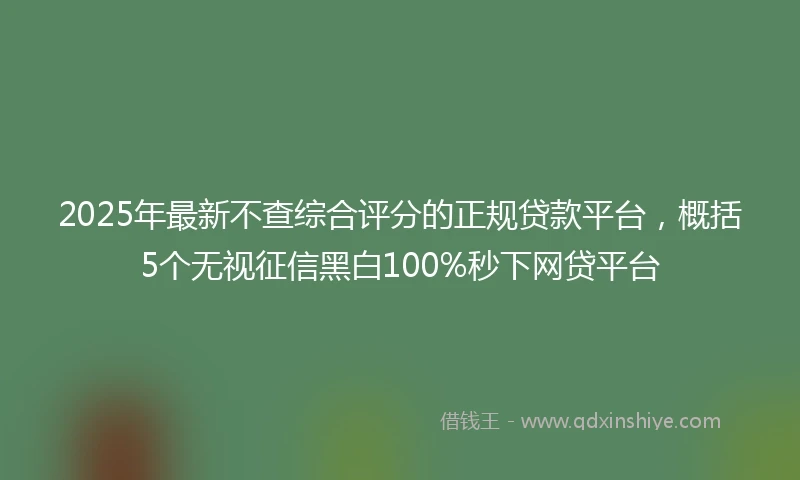 2025年最新不查综合评分的正规贷款平台，概括5个无视征信黑白100%秒下网贷平台
