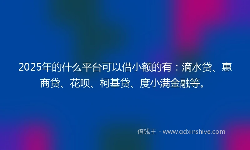2025年的什么平台可以借小额的有：滴水贷、惠商贷、花呗、柯基贷、度小满金融等。