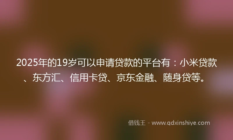 2025年的19岁可以申请贷款的平台有：小米贷款、东方汇、信用卡贷、京东金融、随身贷等。