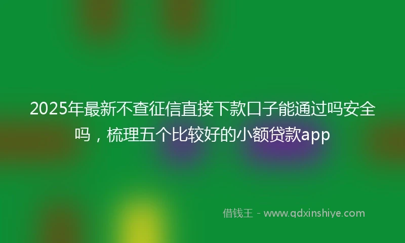 2025年最新不查征信直接下款口子能通过吗安全吗，梳理五个比较好的小额贷款app