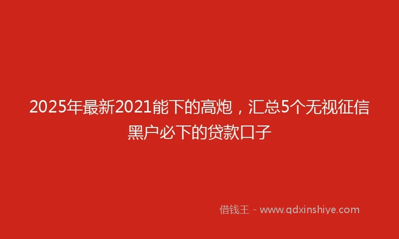 2025年最新2021能下的高炮，汇总5个无视征信黑户必下的贷款口子