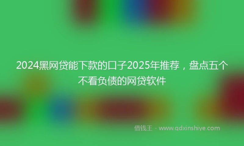 2024黑网贷能下款的口子2025年推荐,盘点五个不看负债的网贷软件