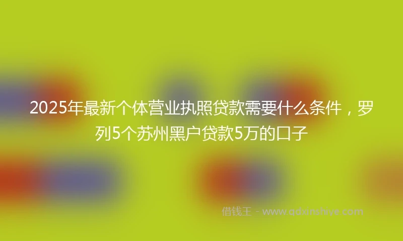 2025年最新个体营业执照贷款需要什么条件，罗列5个苏州黑户贷款5万的口子