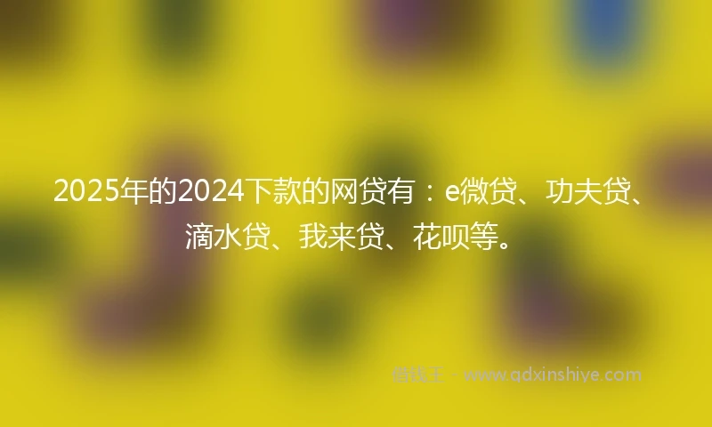2025年的2024下款的网贷有：e微贷、功夫贷、滴水贷、我来贷、花呗等。