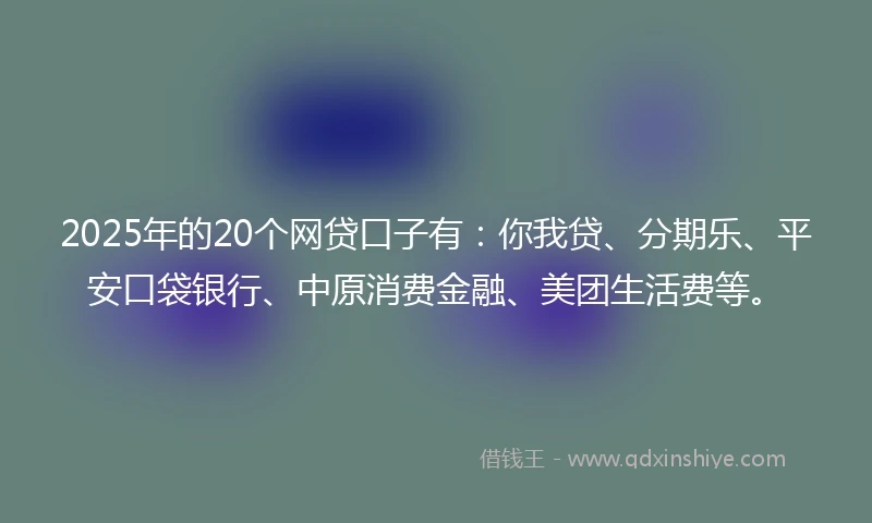 2025年的20个网贷口子有：你我贷、分期乐、平安口袋银行、中原消费金融、美团生活费等。