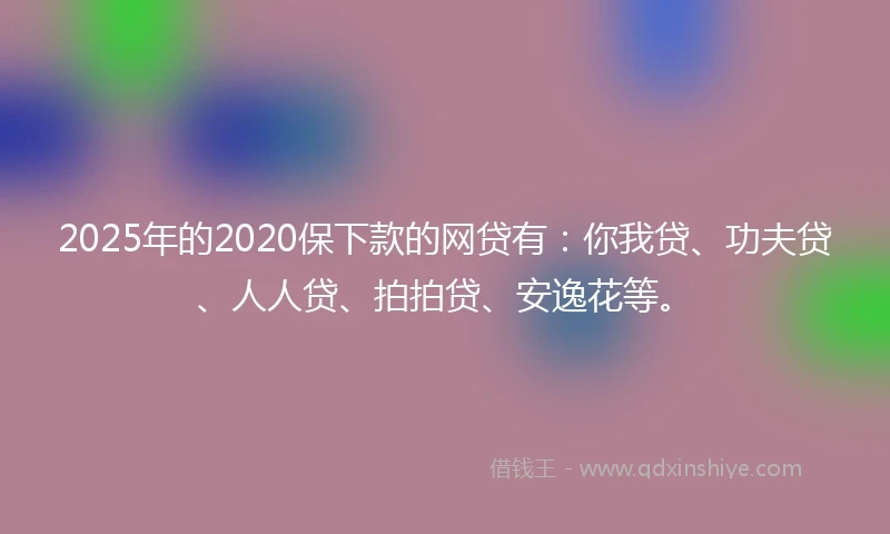 2025年的2020保下款的网贷有：你我贷、功夫贷、人人贷、拍拍贷、安逸花等。