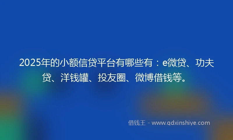 2025年的小额信贷平台有哪些有：e微贷、功夫贷、洋钱罐、投友圈、微博借钱等。