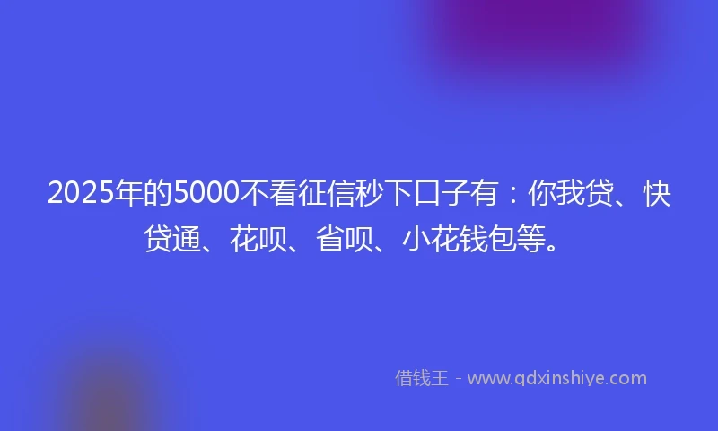 2025年的5000不看征信秒下口子有：你我贷、快贷通、花呗、省呗、小花钱包等。