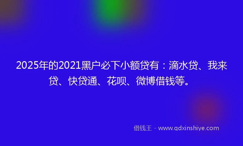 2025年的2021黑户必下小额贷有：滴水贷、我来贷、快贷通、花呗、微博借钱等。