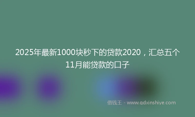 2025年最新1000块秒下的贷款2020，汇总五个11月能贷款的口子