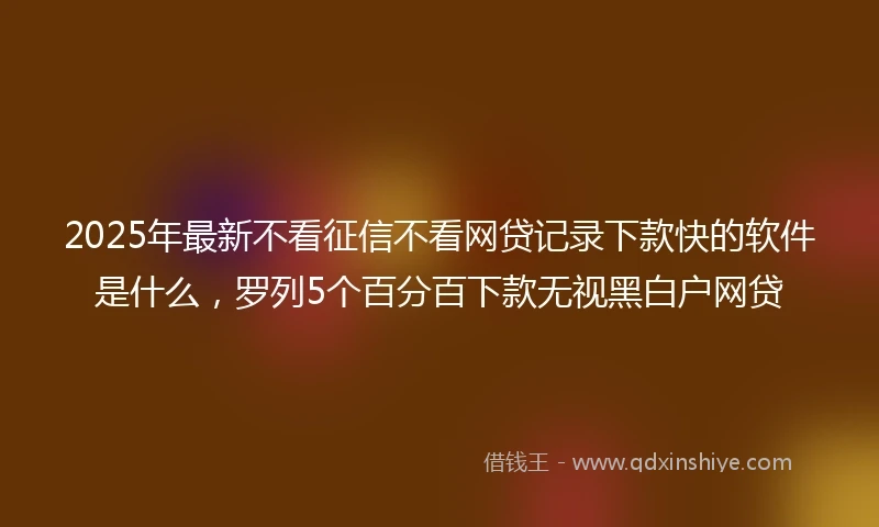 2025年最新不看征信不看网贷记录下款快的软件是什么，罗列5个百分百下款无视黑白户网贷
