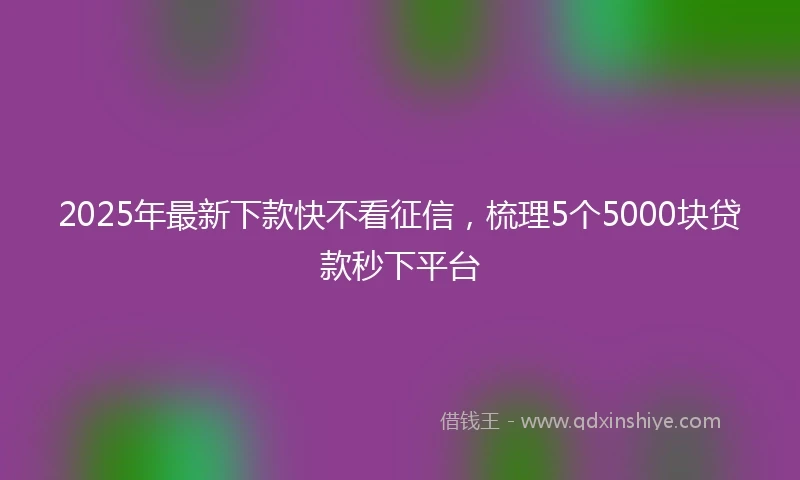2025年最新下款快不看征信，梳理5个5000块贷款秒下平台