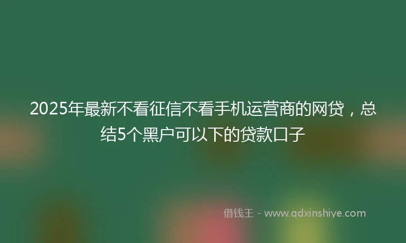 2025年最新不看征信不看手机运营商的网贷，总结5个黑户可以下的贷款口子