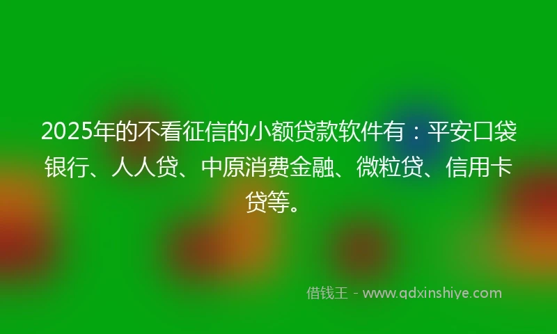 2025年的不看征信的小额贷款软件有：平安口袋银行、人人贷、中原消费金融、微粒贷、信用卡贷等。
