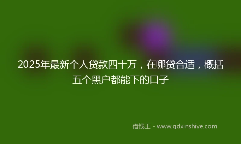 2025年最新个人贷款四十万，在哪贷合适，概括五个黑户都能下的口子