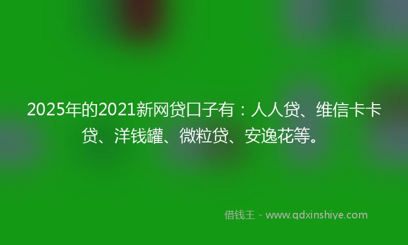 2025年的2021新网贷口子有：人人贷、维信卡卡贷、洋钱罐、微粒贷、安逸花等。