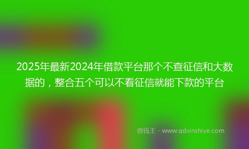 2025年最新2024年借款平台那个不查征信和大数据的，整合五个可以不看征信就能下款的平台