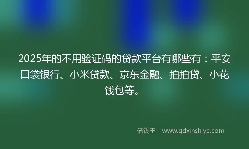 2025年的不用验证码的贷款平台有哪些有：平安口袋银行、小米贷款、京东金融、拍拍贷、小花钱包等。