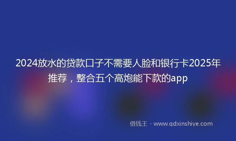 2024放水的贷款口子不需要人脸和银行卡2025年推荐，整合五个高炮能下款的app