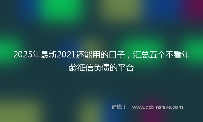 2025年最新2021还能用的口子，汇总五个不看年龄征信负债的平台