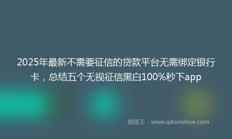 2025年最新不需要征信的贷款平台无需绑定银行卡，总结五个无视征信黑白100%秒下app