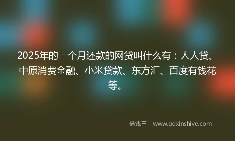 2025年的一个月还款的网贷叫什么有：人人贷、中原消费金融、小米贷款、东方汇、百度有钱花等。