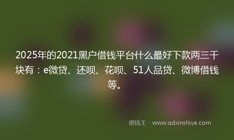 2025年的2021黑户借钱平台什么最好下款两三千块有：e微贷、还呗、花呗、51人品贷、微博借钱等。