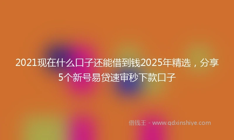 2021现在什么口子还能借到钱2025年精选，分享5个新号易贷速审秒下款口子