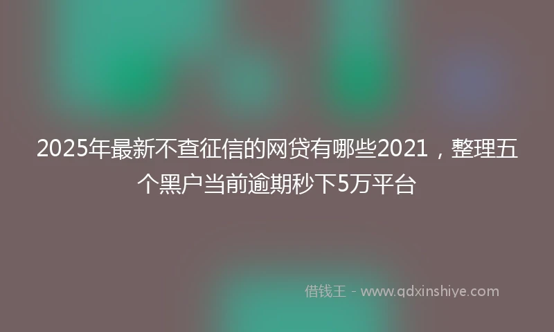 2025年最新不查征信的网贷有哪些2021，整理五个黑户当前逾期秒下5万平台