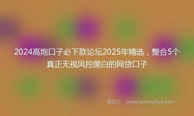 2024高炮口子必下款论坛2025年精选，整合5个真正无视风控黑白的网贷口子