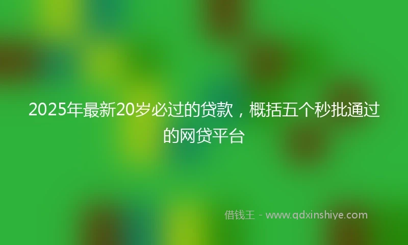 2025年最新20岁必过的贷款，概括五个秒批通过的网贷平台