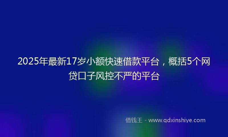 2025年最新17岁小额快速借款平台，概括5个网贷口子风控不严的平台