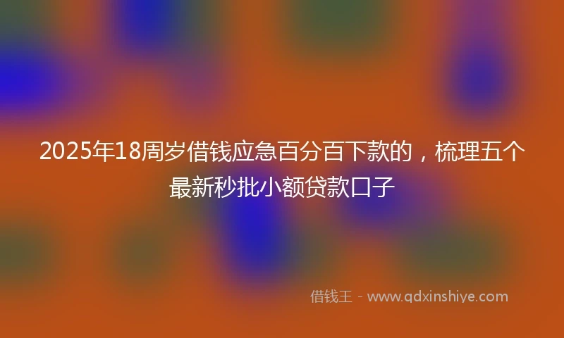 2025年18周岁借钱应急百分百下款的，梳理五个最新秒批小额贷款口子