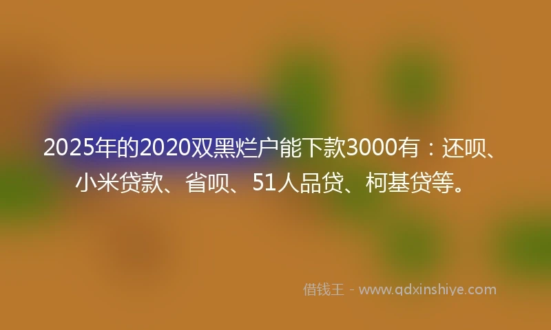 2025年的2020双黑烂户能下款3000有：还呗、小米贷款、省呗、51人品贷、柯基贷等。
