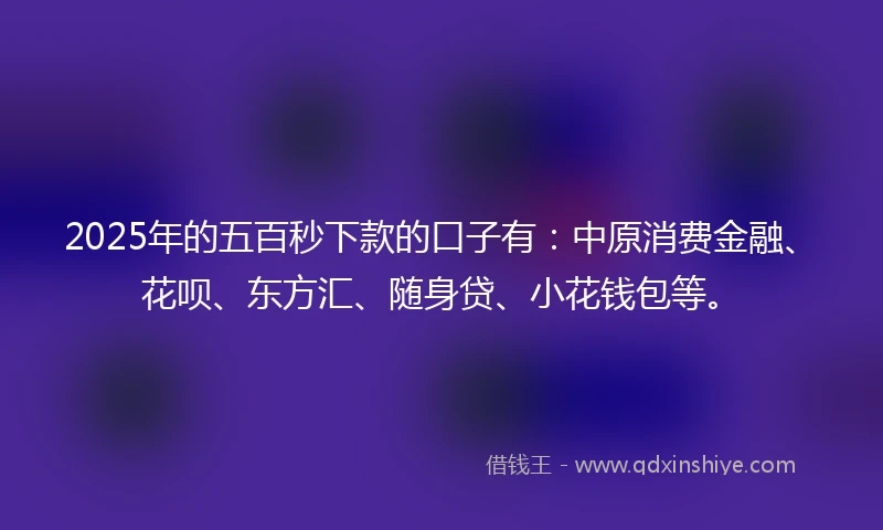 2025年的五百秒下款的口子有：中原消费金融、花呗、东方汇、随身贷、小花钱包等。