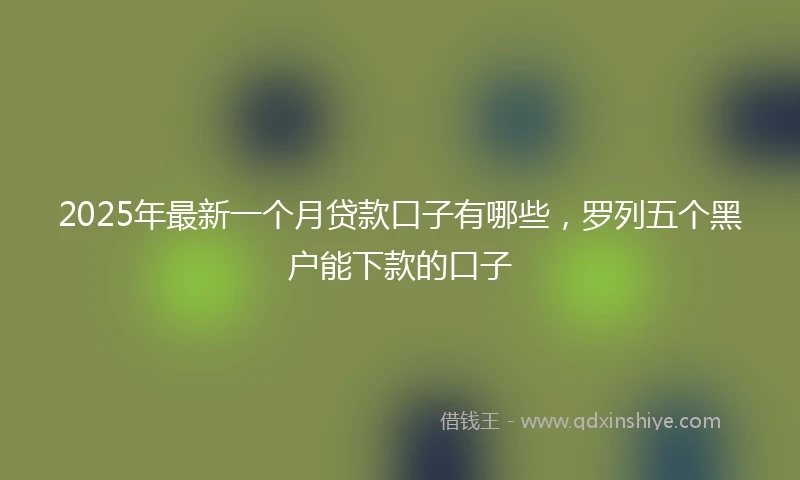 2025年最新一个月贷款口子有哪些，罗列五个黑户能下款的口子