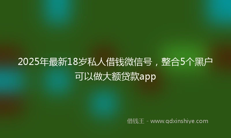2025年最新18岁私人借钱微信号，整合5个黑户可以做大额贷款app