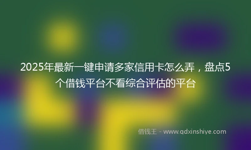 2025年最新一键申请多家信用卡怎么弄，盘点5个借钱平台不看综合评估的平台