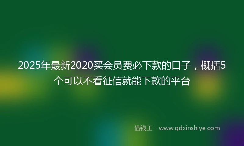 2025年最新2020买会员费必下款的口子，概括5个可以不看征信就能下款的平台