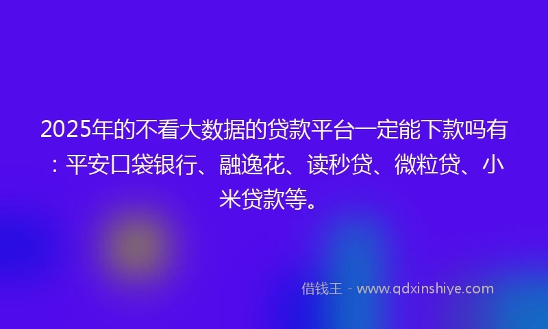 2025年的不看大数据的贷款平台一定能下款吗有：平安口袋银行、融逸花、读秒贷、微粒贷、小米贷款等。