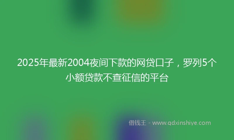 2025年最新2004夜间下款的网贷口子，罗列5个小额贷款不查征信的平台