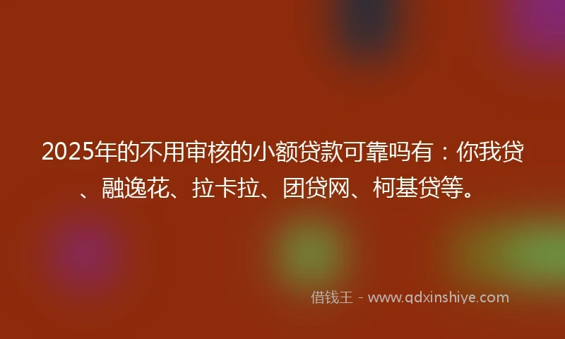 2025年的不用审核的小额贷款可靠吗有：你我贷、融逸花、拉卡拉、团贷网、柯基贷等。