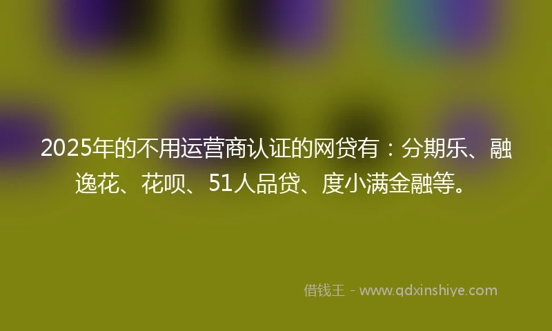 2025年的不用运营商认证的网贷有：分期乐、融逸花、花呗、51人品贷、度小满金融等。